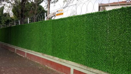 Çim çit dayanıklı mıdır?