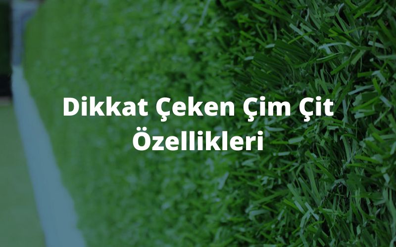 çim çit faydaları